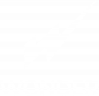 Wonder